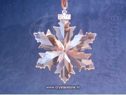 SCS Gouden kerstster 2014