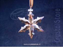 SCS Kerstster 2015 Gouden Schaduw
