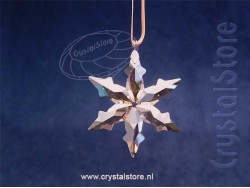 SCS kleine Ster 2015