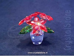 Poinsettia - Kerstster