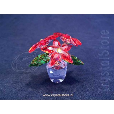 Poinsettia - Kerstster