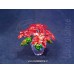 Poinsettia Large (2017 issue)