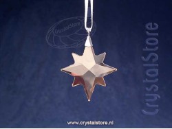PWP Ster Ornament Goud