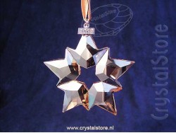 SCS Kerstster 2019 Golden Shadow