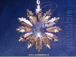 Winter Ster Ornament