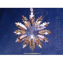 Winter Star Ornament
