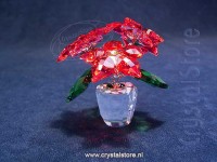 Joyful Poinsettia (uitgave 2020)