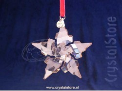 Feestelijk Kerstster Ornament - Golden Shadow - Uitgave 2021