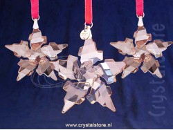 Kerstster Set 2021 - Golden Shadow