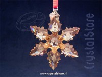 Kerstster 2024 - Feestelijk Ornament - Golden Shadow