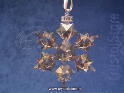 SCS Christmas Ornament, Annual Edition 2010