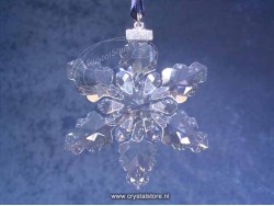 Kerstster 2008 