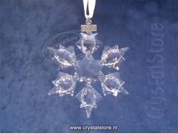Kerstster 2010 