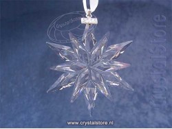 Kerstster 2011 