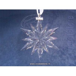 Christmas Ornament, Annual Edition 2011