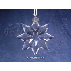 Christmas Ornament, Annual Edition 2013