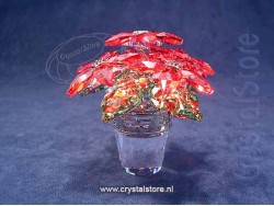 Large Poinsettia