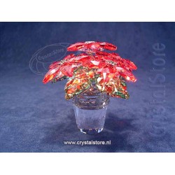 Large Poinsettia