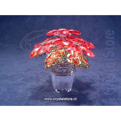 Large Poinsettia