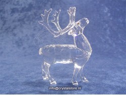 Reindeer 