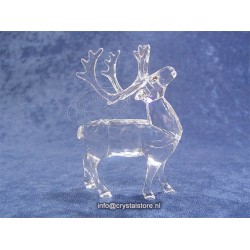 Reindeer 