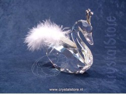 Winter Swan 