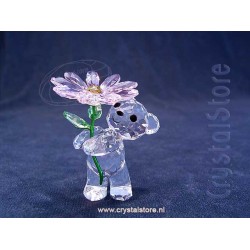 Kris Bear a Daisy for you