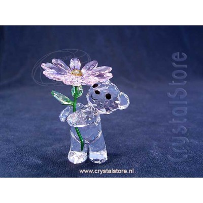 Kris Bear a Daisy for you
