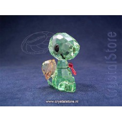 Shelly the Turtle