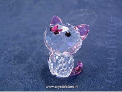 Kitten - Millie the American Shorthair