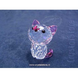 Kitten - Millie the American Shorthair