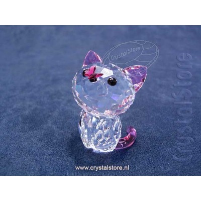 Kitten - Millie the American Shorthair