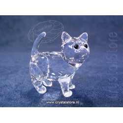 Kitten 2017 (no sticker)