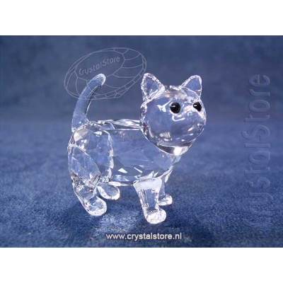 Kitten 2017 (no sticker)