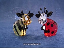 Bumblebee en Ladybird Mo
