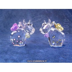 Fairy Mo's - Limited Edition 2019
