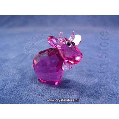 Mini Mo - Intense Fuchsia, Limited Edition 2015