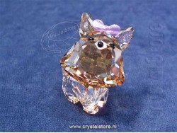 Puppy - Dixie De Yorkshire Terrier