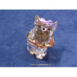 Puppy - Dixie The Yorkshire Terrier