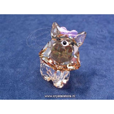 Puppy - Dixie The Yorkshire Terrier