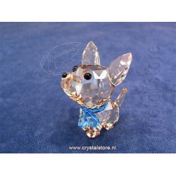 Puppy - Oscar The Chihuahua