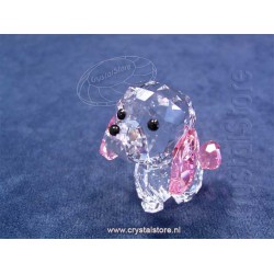Puppy - Rosie the Poodle