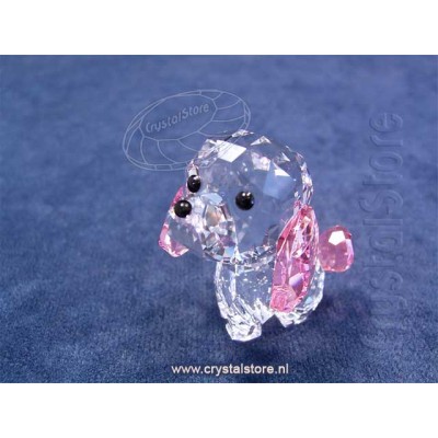 Puppy - Rosie the Poodle