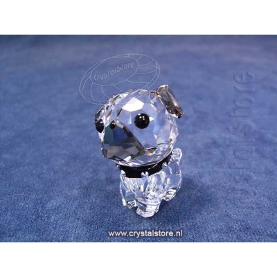 Puppy - Roxy The Pug