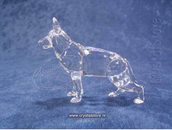 Duitse Herdershond 1999