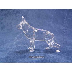 German Shepherd 1999