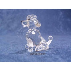 Poodle Sitting