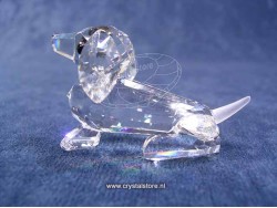 Dachshund Mini
