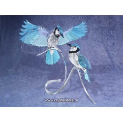 Pair of Blue Jays
