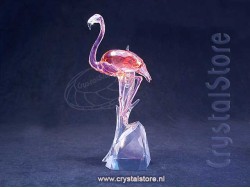 Flamingo (2018)